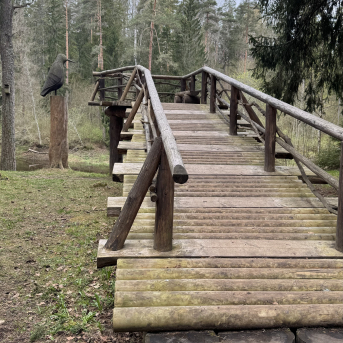 Mācību ekskursija uz Rūjienu un Mazsalacu - 