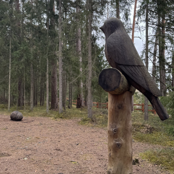 Mācību ekskursija uz Rūjienu un Mazsalacu - 