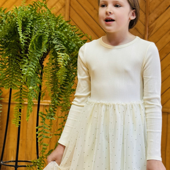 Pavasara runas konkurss - 