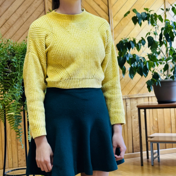 Pavasara runas konkurss - 