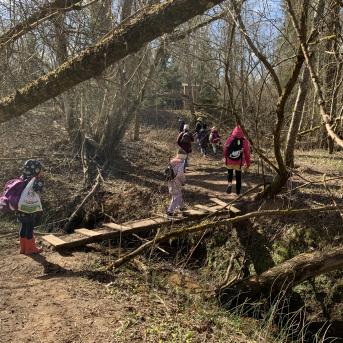 Pārgājiens uz Zušiem - 