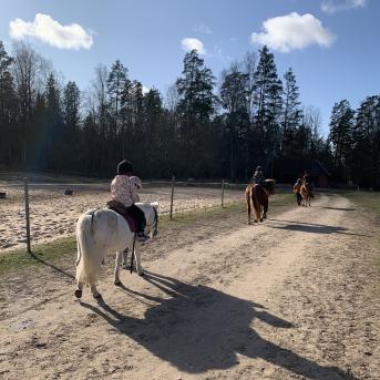 Pārgājiens uz Zušiem - 