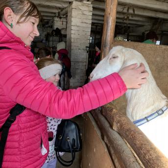 Pārgājiens uz Zušiem - 