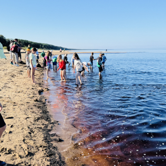 Sējas pamatskolas rudens pārgājiens - 