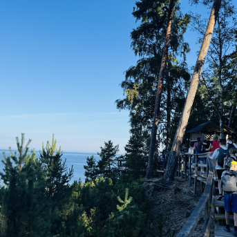 Sējas pamatskolas rudens pārgājiens - 