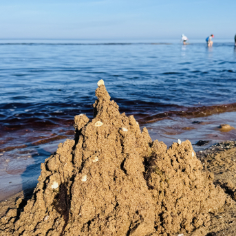 Sējas pamatskolas rudens pārgājiens - 