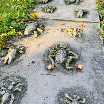 Sējas pamatskolas rudens pārgājiens - 