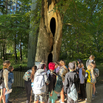 Sējas pamatskolas rudens pārgājiens - 