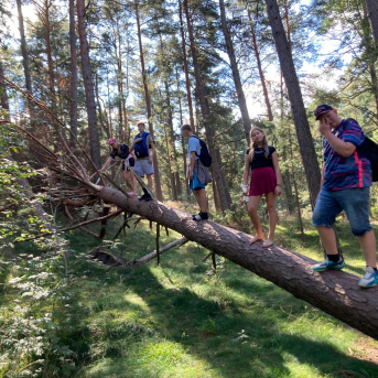 Sējas pamatskolas rudens pārgājiens - 