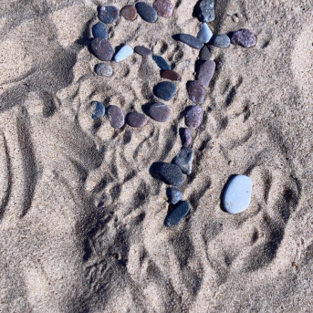 Sējas pamatskolas rudens pārgājiens - 