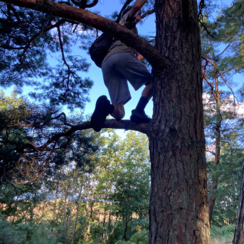 Sējas pamatskolas rudens pārgājiens - 
