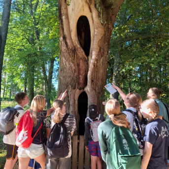 Sējas pamatskolas rudens pārgājiens - 