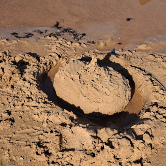 Sējas pamatskolas rudens pārgājiens - 