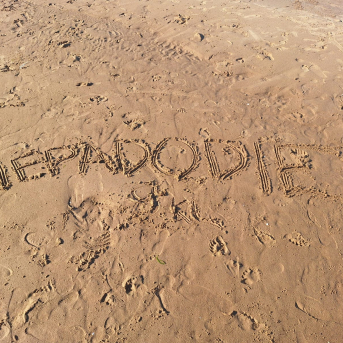 Sējas pamatskolas rudens pārgājiens - 