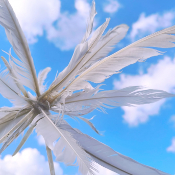 Sējas pamatskolas rudens pārgājiens - 