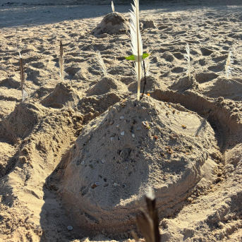 Sējas pamatskolas rudens pārgājiens - 