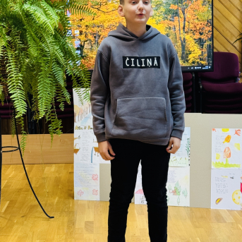 Rudzens dzejas konkurss - 