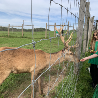 Ķirbju seminārs Morē - 