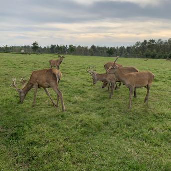 Ķirbju seminārs Morē - 