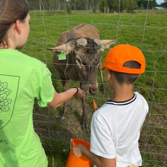 Ķirbju seminārs Morē - 