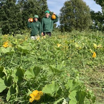 Ķirbju seminārs Morē - 