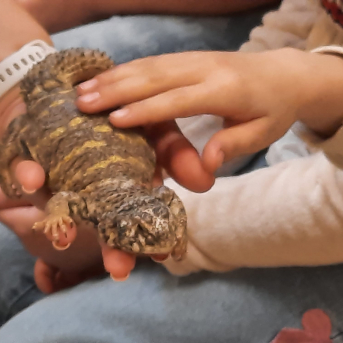 STEM nodarbība Rīgas Zoodārzā - 