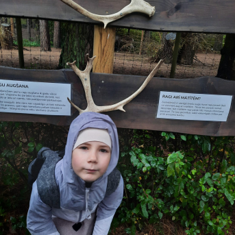 STEM nodarbība Rīgas Zoodārzā - 