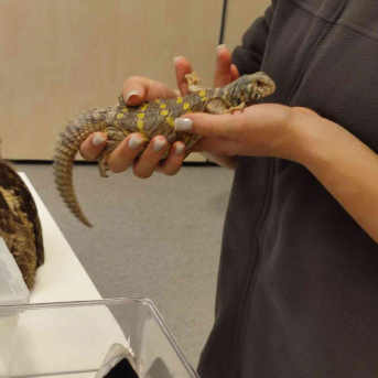 STEM nodarbība Rīgas Zoodārzā - 