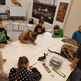 STEM nodarbība Rīgas Zoodārzā - 