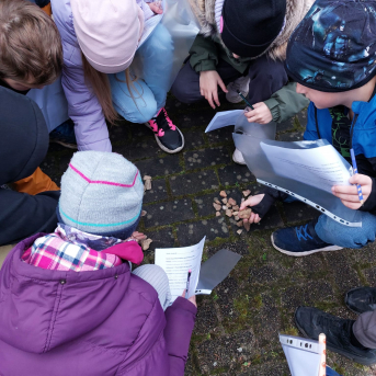 Āra nodarbību diena - 