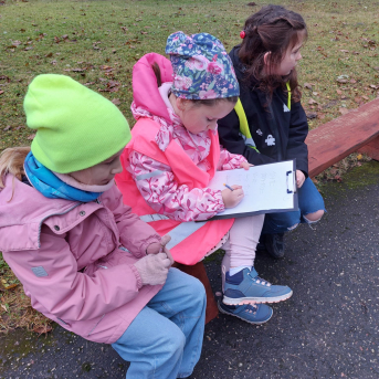 Āra nodarbību diena - 