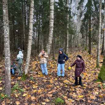 Āra nodarbību diena - 
