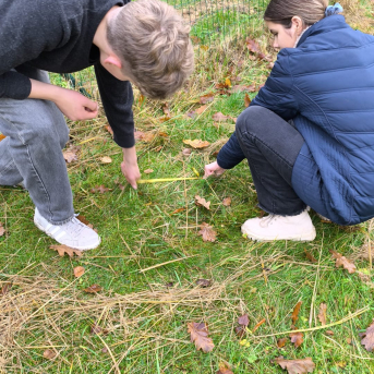 Āra nodarbību diena - 