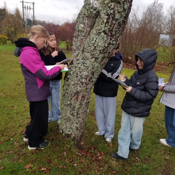 Āra nodarbību diena - 