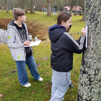 Āra nodarbību diena - 