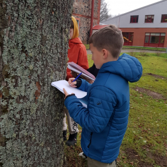 Āra nodarbību diena - 