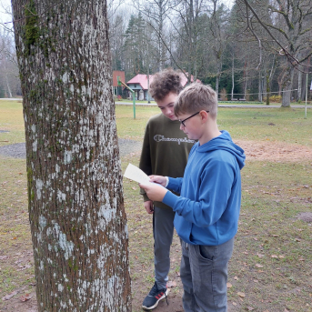 Āra nodarbību diena - 