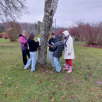 Āra nodarbību diena - 