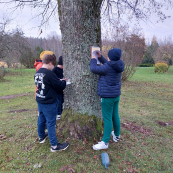 Āra nodarbību diena - 