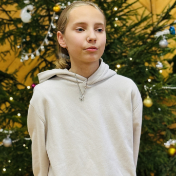 Ziemas dzejoļu konkurss - 