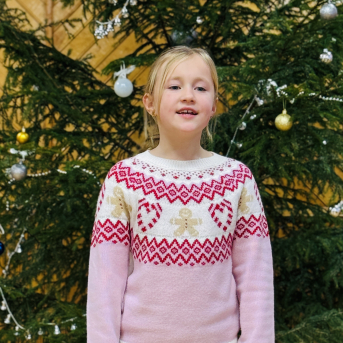 Ziemas dzejoļu konkurss - 