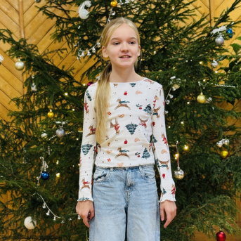 Ziemas dzejoļu konkurss - 