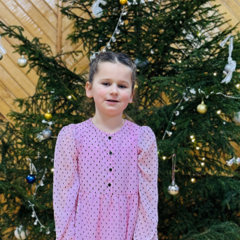 Ziemas dzejoļu konkurss - 