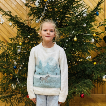 Ziemas dzejoļu konkurss - 