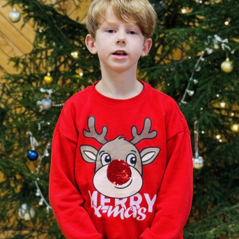 Ziemas dzejoļu konkurss - 