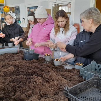 Sējas pamatskolas 6.klase ESF+ projekta nodarbībā - 