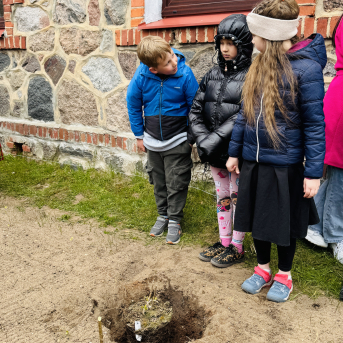 Latvijas svētkiem gatavojoties - 
