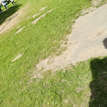 Ģimeņu sporta diena - 