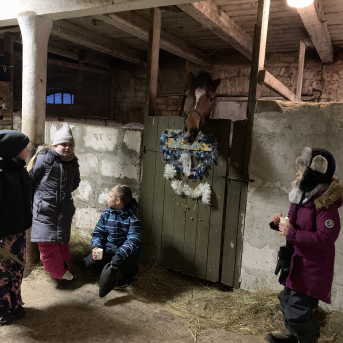 Sākam Zirga gadu Zušos - 