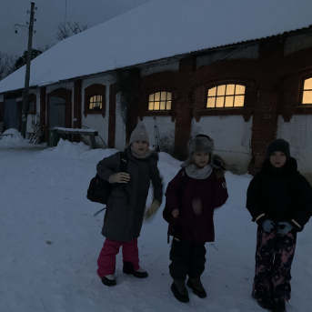 Sākam Zirga gadu Zušos - 